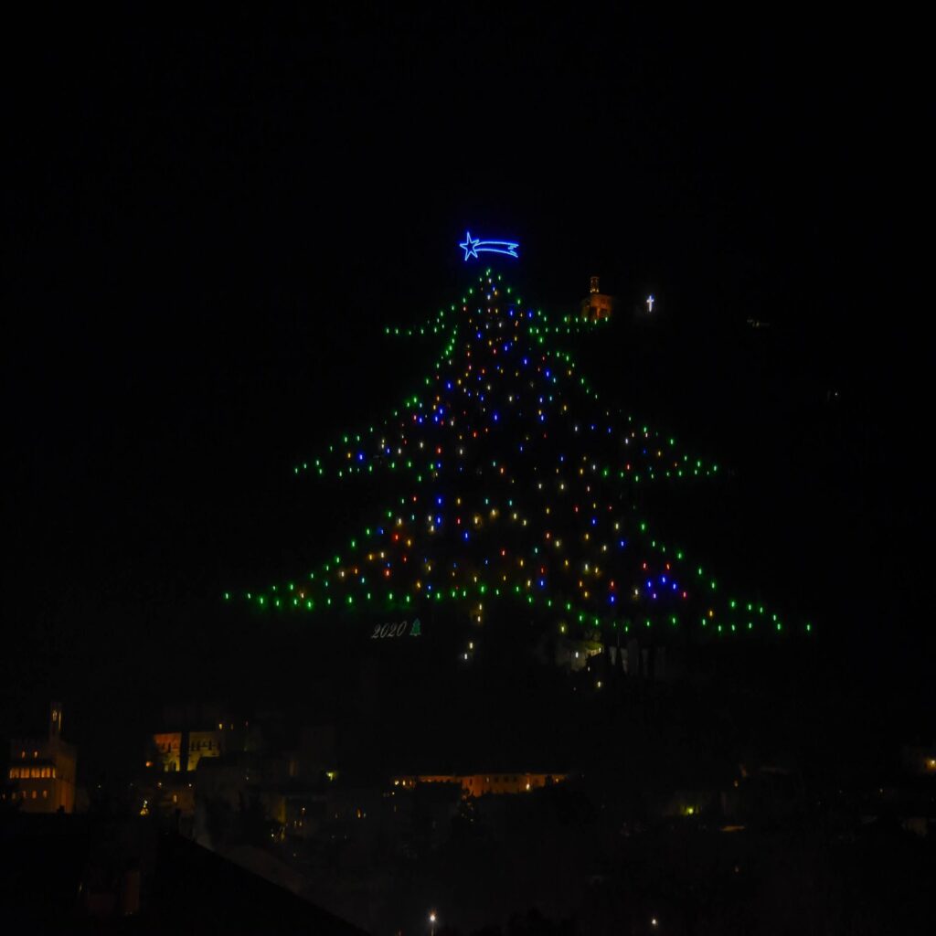 albero più grande al mondo a Gubbio