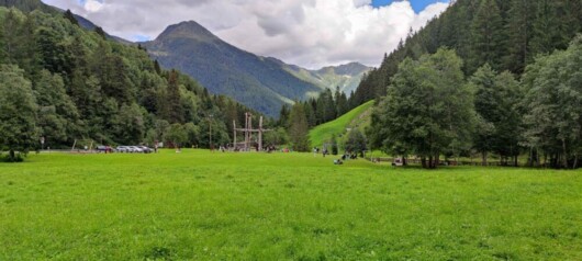 prato verde e montagne verdi panorama della val di rabbi