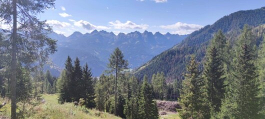 panorama dal latemar, percorso del pastore distratto